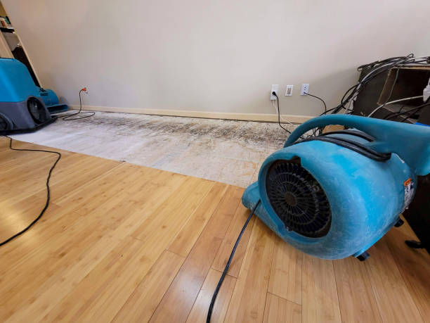 Professional Burst Pipe Water Damage technician working in Hancock, NH